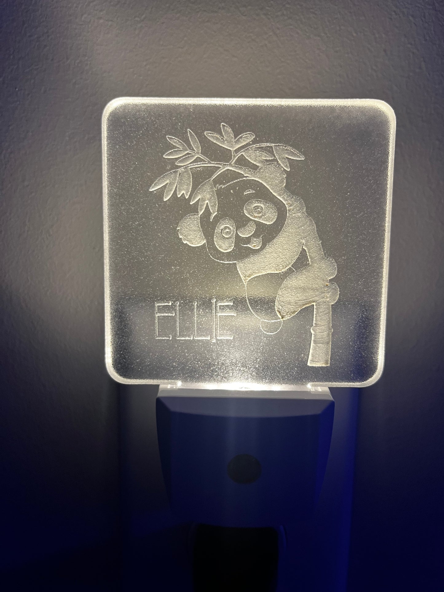 Custom Engraved Night Light