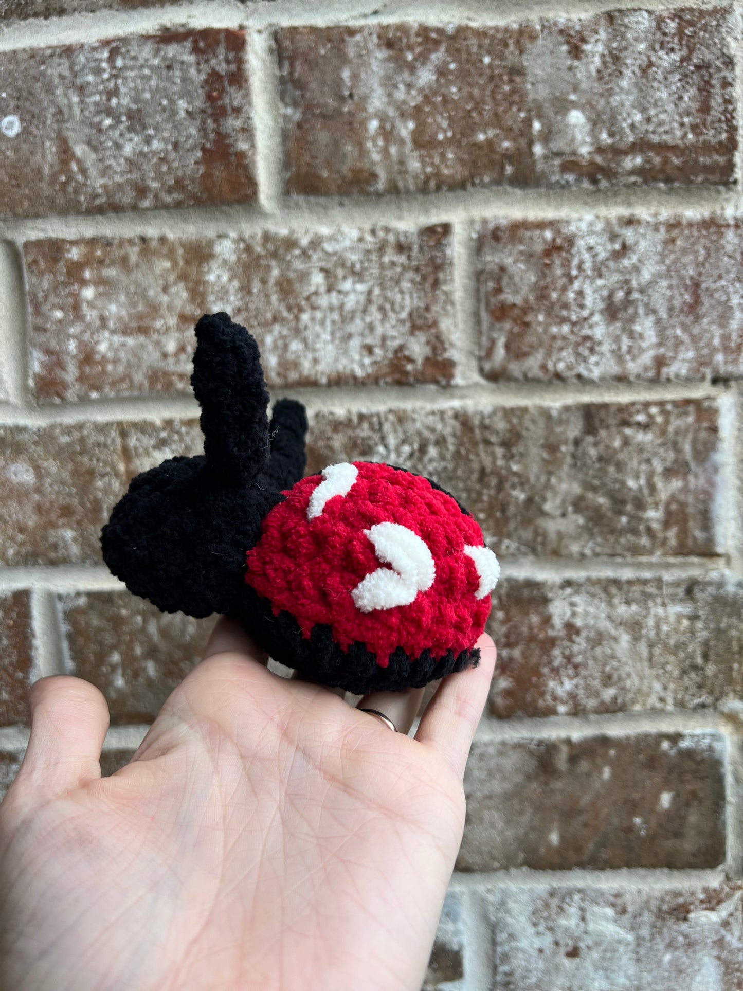 Crochet Love Bug Ladybug