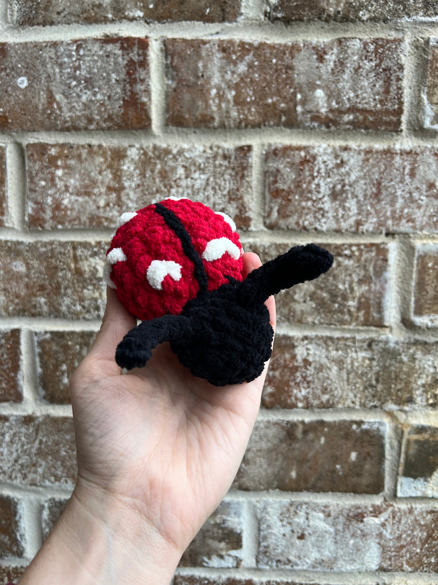 Crochet Love Bug Ladybug