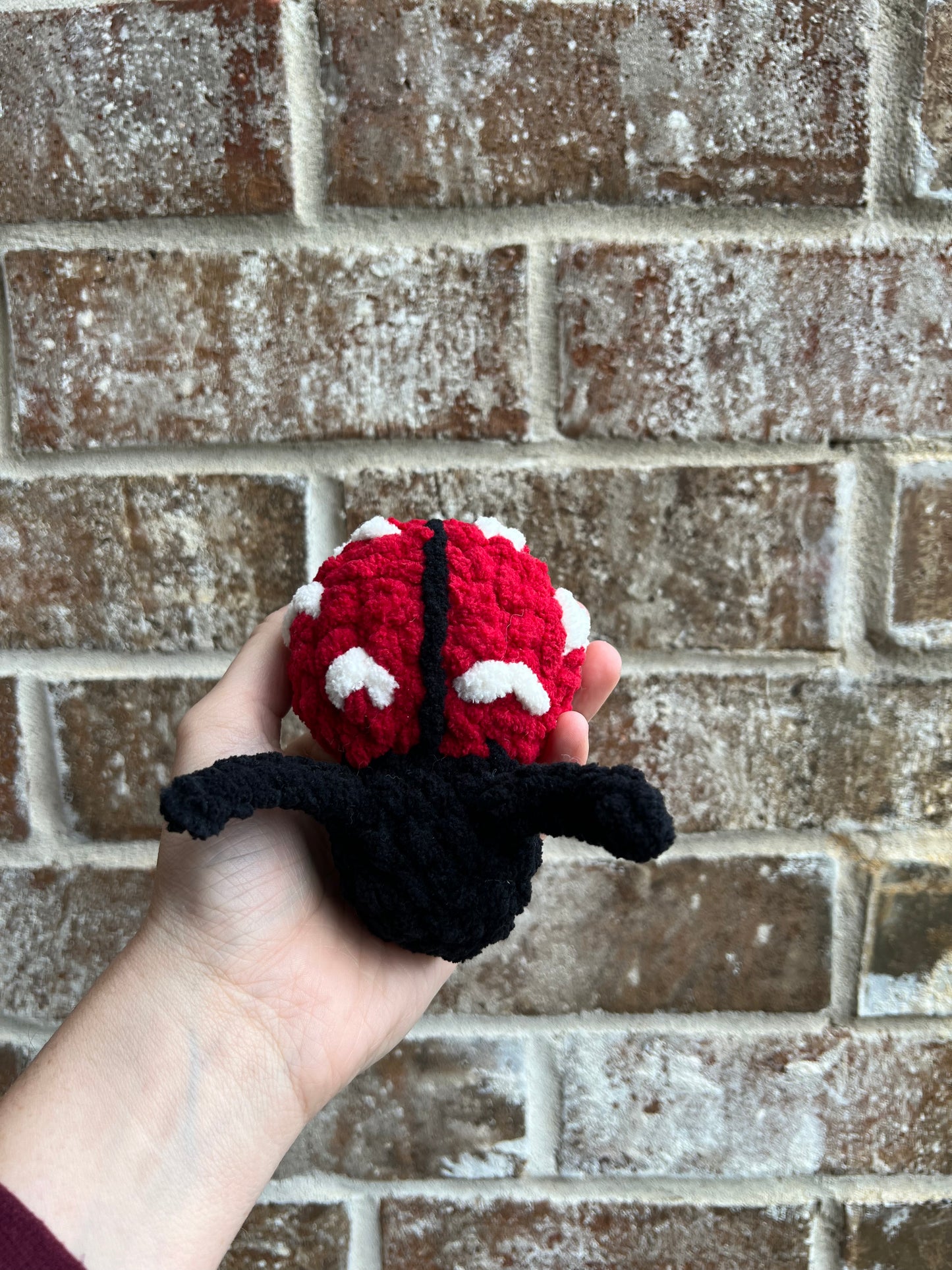 Crochet Love Bug Ladybug